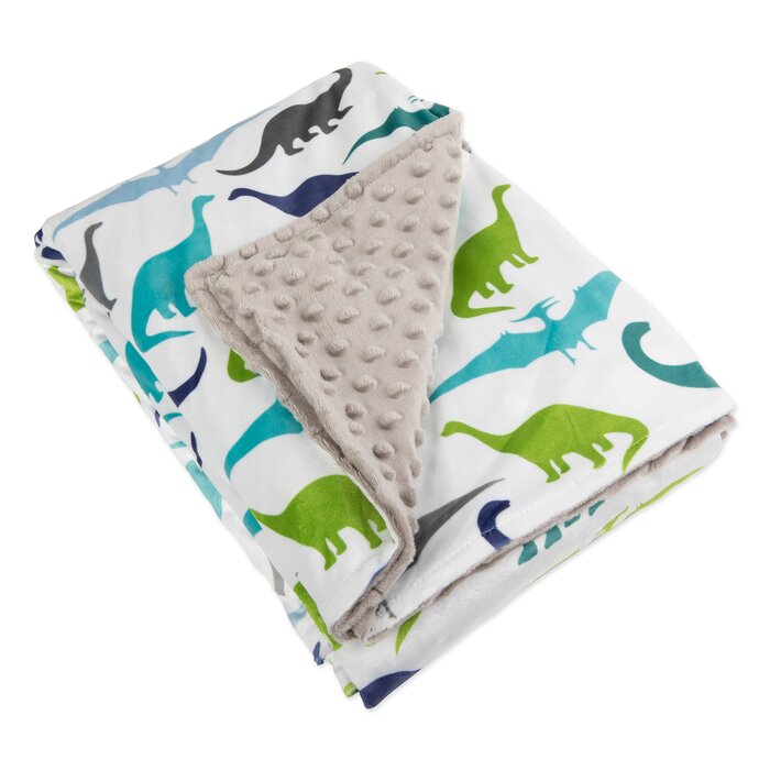 Isabelle & Max™ Kianna Dinosaur Weighted Blanket Cover & Reviews | Wayfair